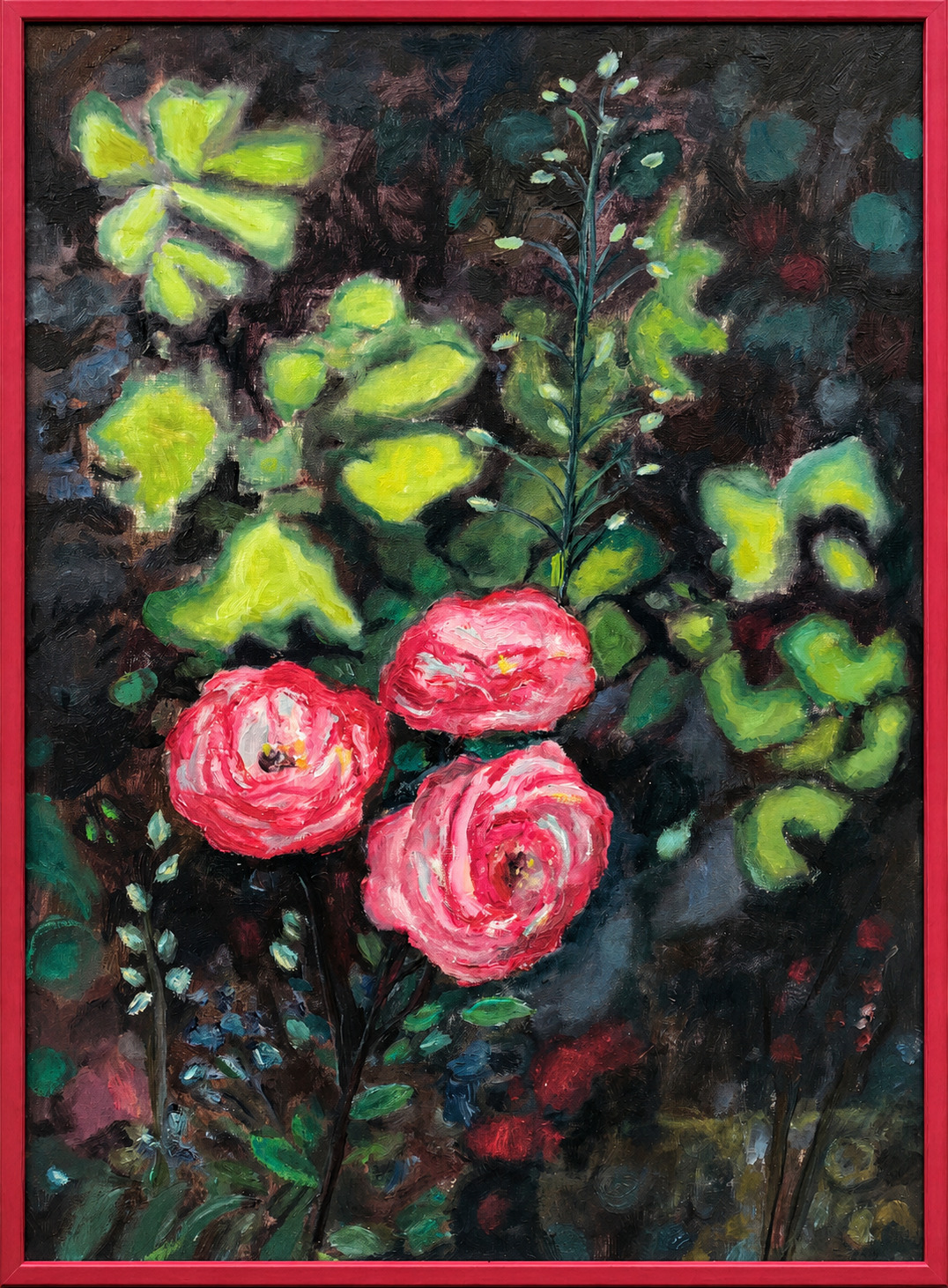 Les roses bicolores