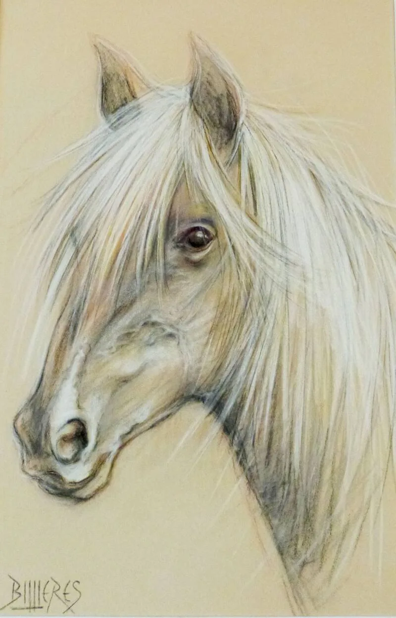 Portrait au Pastel