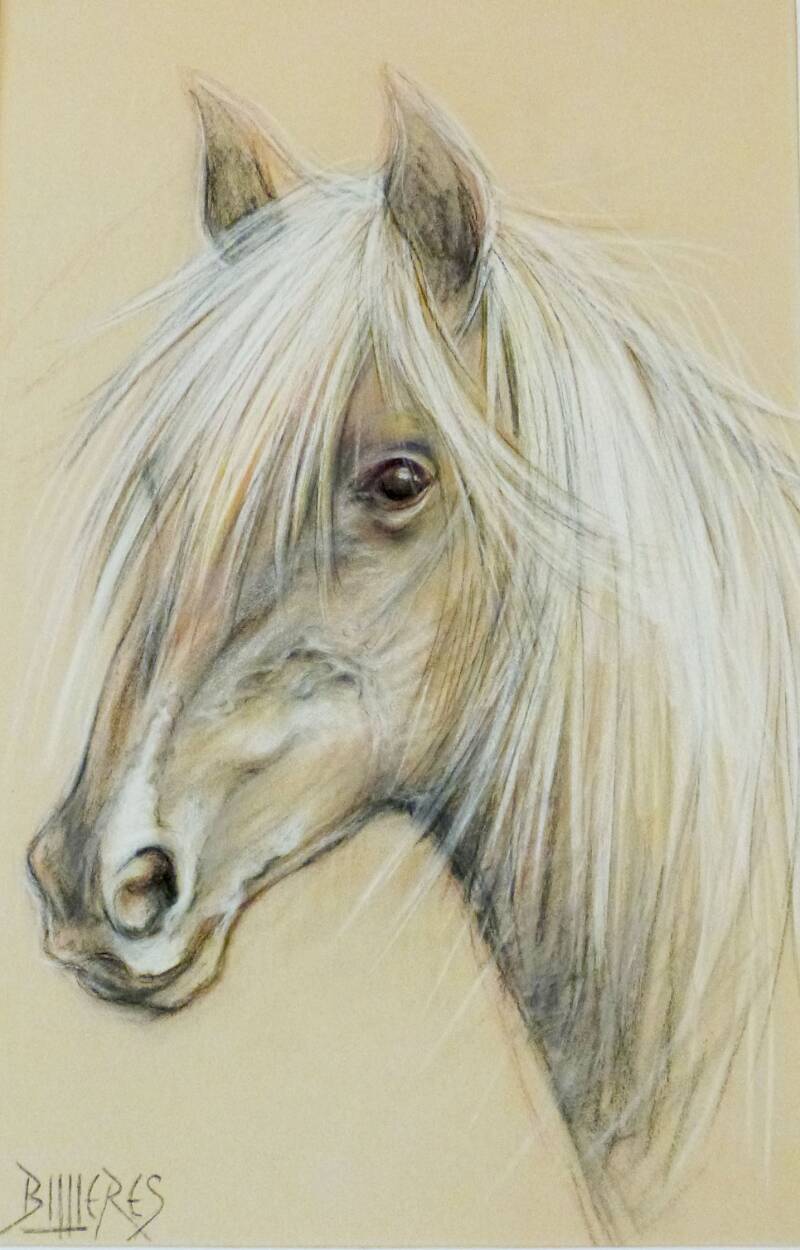Portrait au Pastel