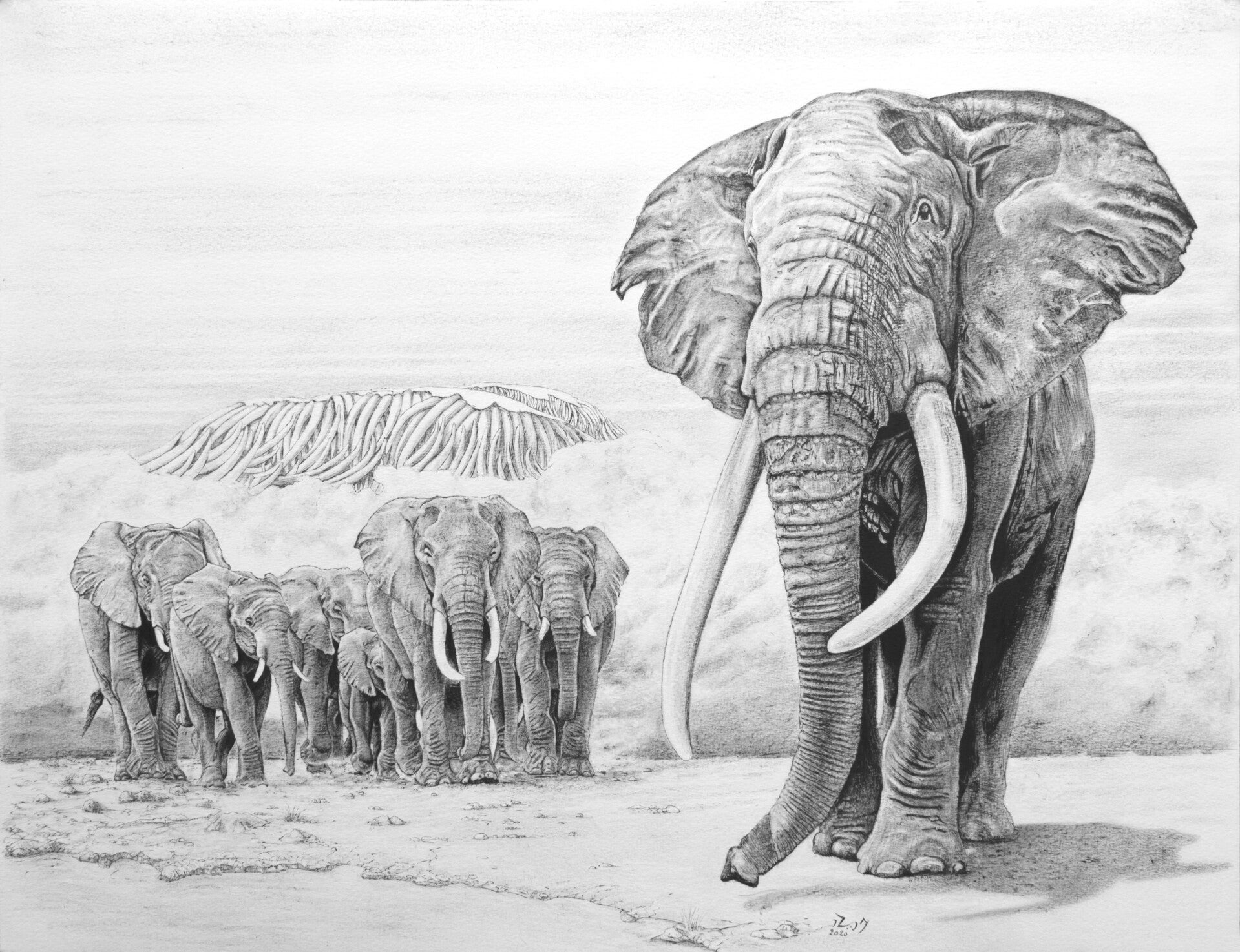 Éléphants